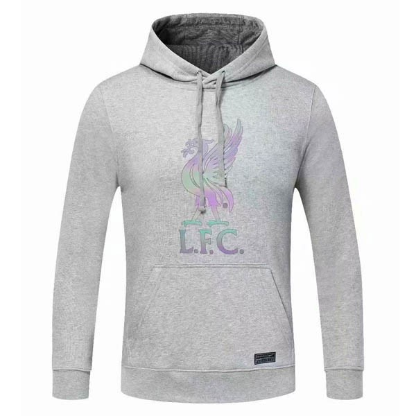 Sudaderas Con Capucha Liverpool 2020/21 Gris